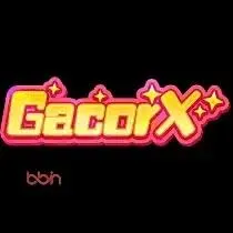Review Aplikasi gacorx